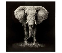 toile-imp-elephant100x100