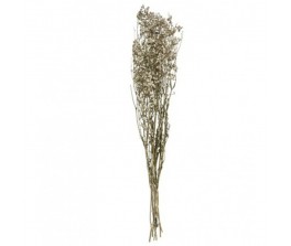 gypsophile-nat-seche-h58